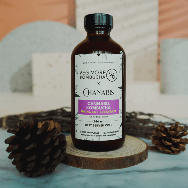 Vegivore Cannabis Kombucha Bangkok