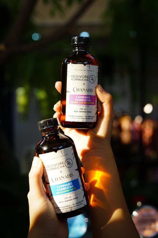 Vegivore Cannabis Kombucha Melbourne Haze Bangkok