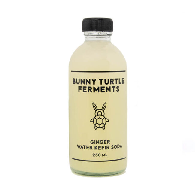 Bunny Turtle - Ginger Water Kefir Soda 250ml - Organic Village Bangkok