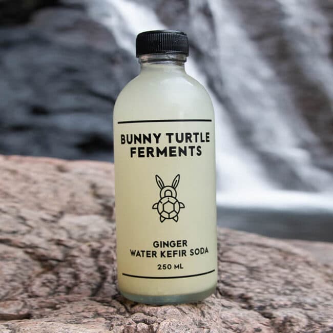 Bunny Turtle - Ginger Water Kefir Soda 250ml - Organic Village