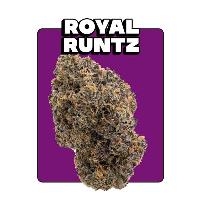 Royal Runtz