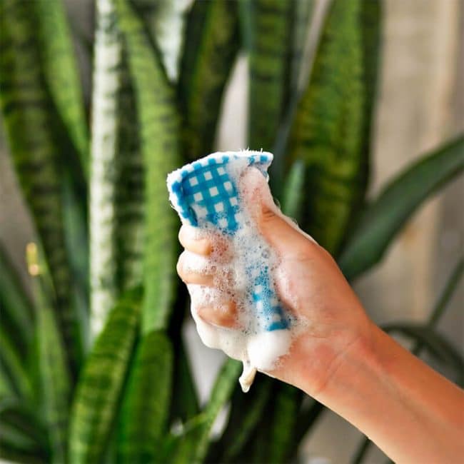 Superbee - Kitchen Scrubber - Organic Village 03