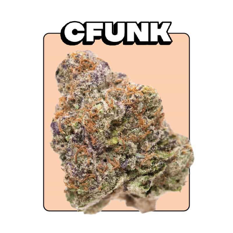 Cfunk - organic village