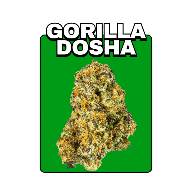 gorilla_dosha_organic_village