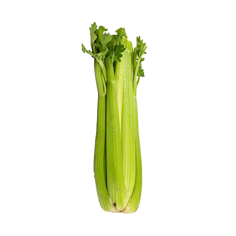 Organic Celery_Organic Village