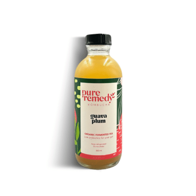 Organic Fermented Tea Kombucha Guava Plum Organic Village